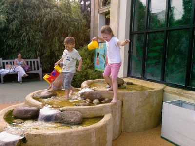 Playing together at the waterhole