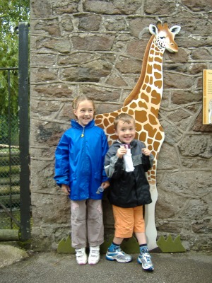 Who's tallest?