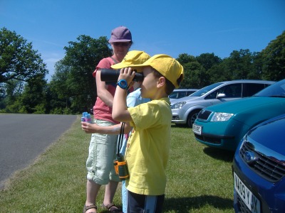 Watching the rhinos