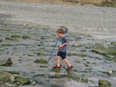 Stepping stones