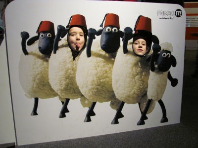 Sheepish pair