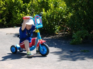 6 June - Easy rider