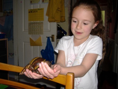 Sam the snail