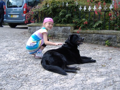 Stroking the dog