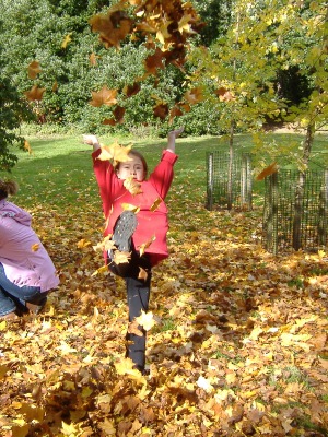 More autumn fun