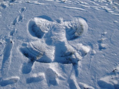 Snow Angel