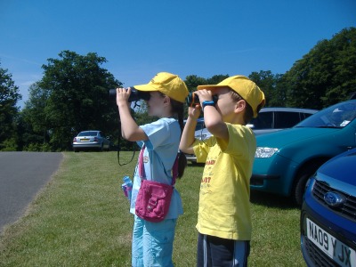 On safari