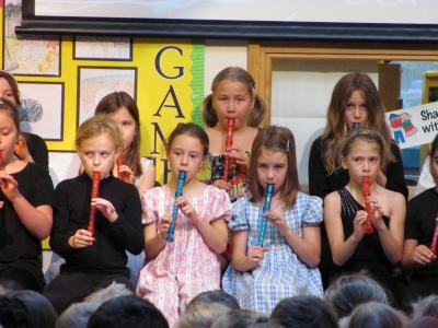 The orchestra