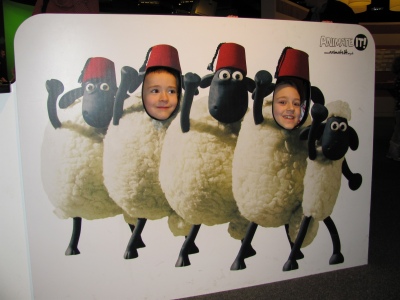 Looking sheepish
