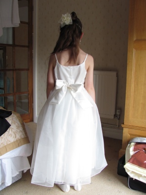 The back