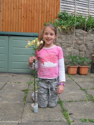 Jenny's flower